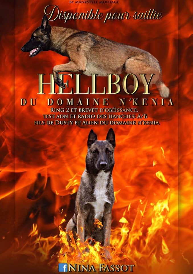 Hellboy du domaine N'Kenia