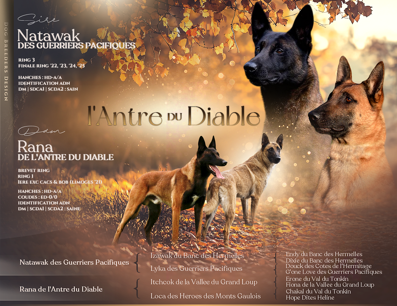 Prévision portée 2026